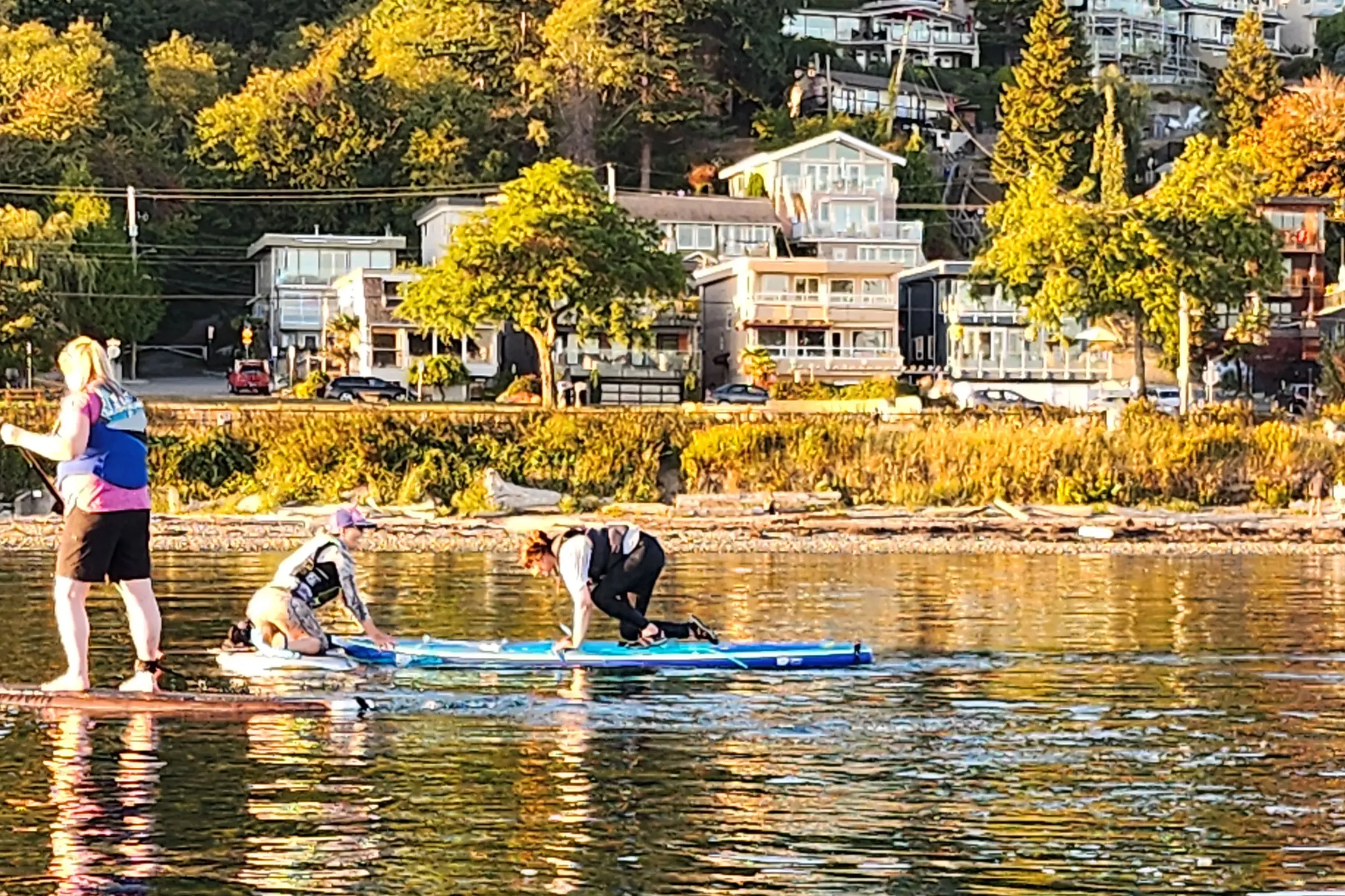 Group of people stand-up paddleboarding near the shoreline at White Rock Beach with houses and greenery in the background.