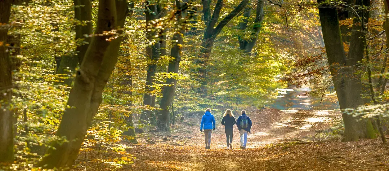 Physicians in South Surrey White Rock walking along a path in the woods on a crisp fall day